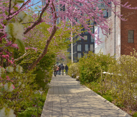 The Highline is an Elevated Public Park on the West Side of NYC