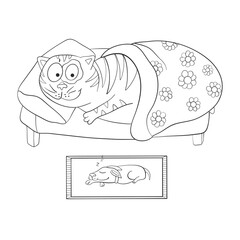 Cat and dog sleep. Friends. Friendship of animals. Coloring book page. Vector illustration
