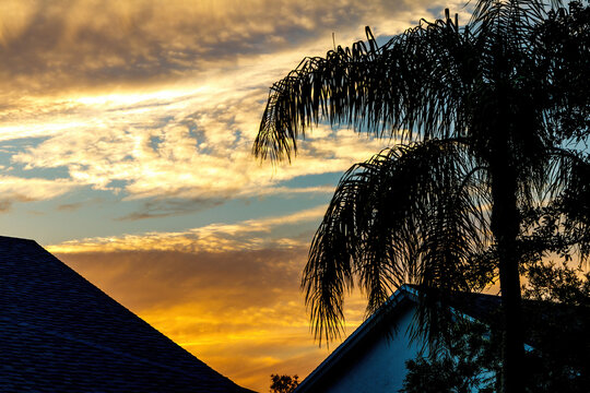 South Florida sunset over residence houses with silhouette of palm trees homes. Deep blue and orange sun low on horizon behind cirrus, not cumulus, cumulonimbus, nimbus, or stratus clouds in the sky.