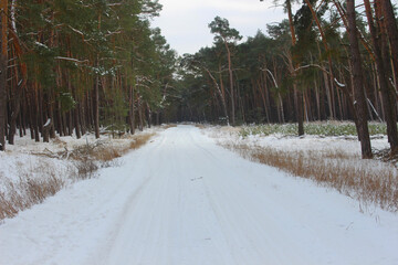 Winterlandschaft