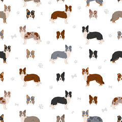 Fototapeta premium Border collie clipart. Different poses, coat colors set