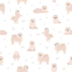 Pomeranian German spitz seamless pattern. Different poses, coat colors set.