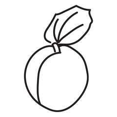 a picture of an apricot for a child's coloring book