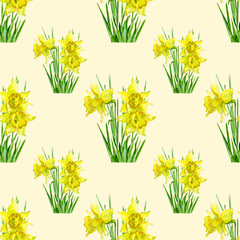 Daffodils illustration. Realistic Watercolor hand drawn seamless pattern. Beautiful spring yellow flowers. Design for fabric, paper, packaging