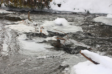 Winter Bach zugefroren