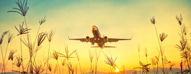 grass sky nature airport plane flower ground landscape green field tree  outdoor daylight sunshine...