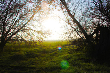 Landschaft Fr&uuml;hling