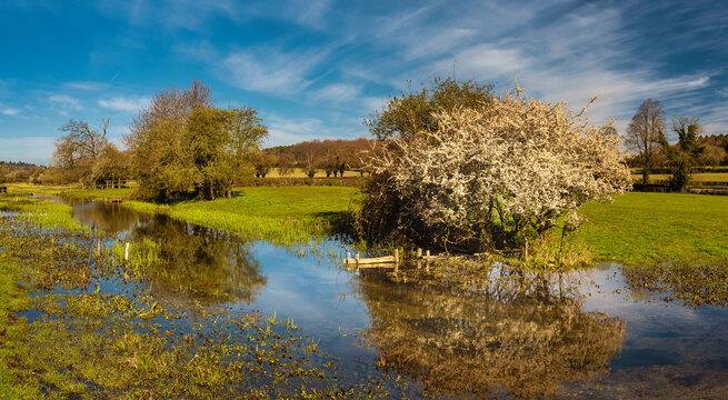 Landscape of Little Missenden nature and river Misbourne, Chilterns, Buckinghamshire, England 