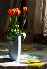 Tulips in a vase on the table, daylight
