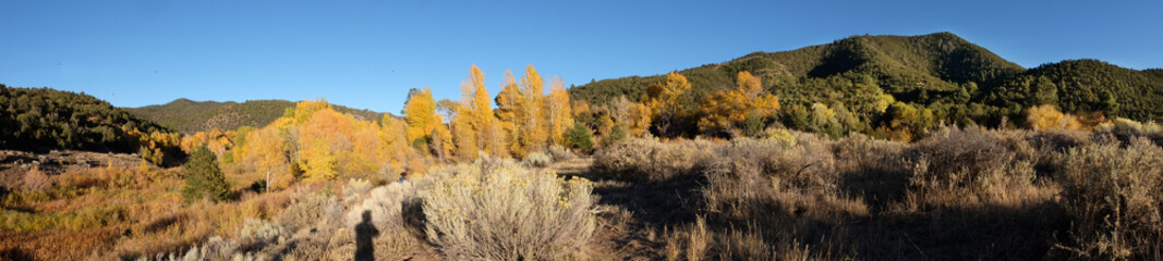 Fototapeta na wymiar Fall colors at the Santa Fe Canyon Preserve, Santa Fe, New Mexico, USA