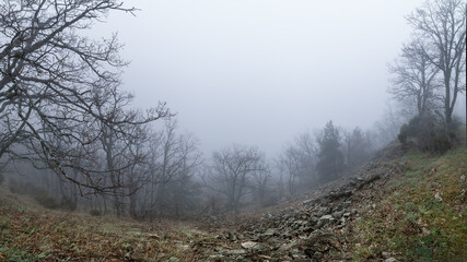 Panoramic mountain landscape on a day with intense fog and low visibility.