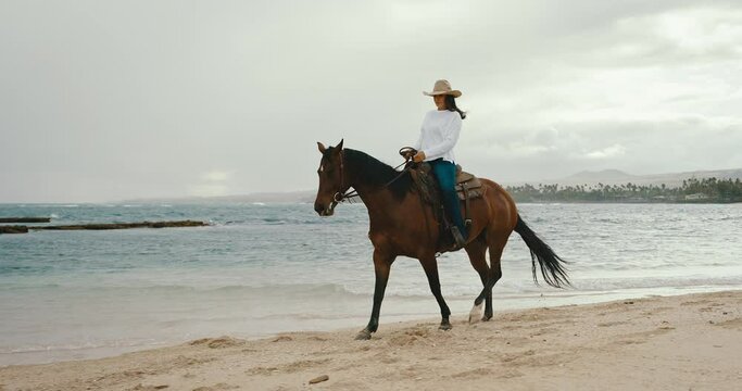 Horseback riding on the beach at sunrise, beautiful young woman riding majestic horse on the sand