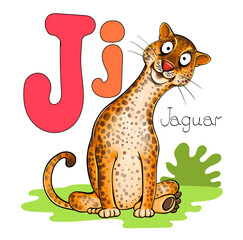 Vector illustration. Alphabet with animals. Large capital letter J with a picture of a bright, cute jaguar.
