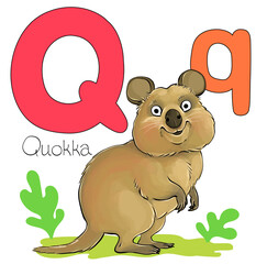 Vector illustration. Alphabet with animals. Large capital letter Q with a picture of a bright cute quokka.
