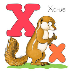 Vector illustration. Alphabet with animals. Large capital letter X with a picture of bright cute xerus.