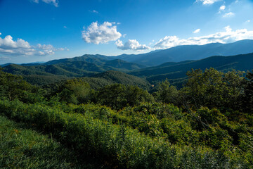 landscape in the summer