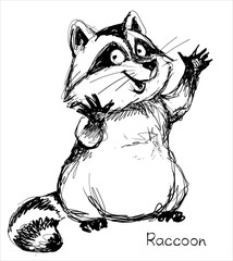 Vector. A graphic black and white sketch of a funny raccoon.