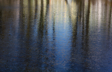 water reflects trees