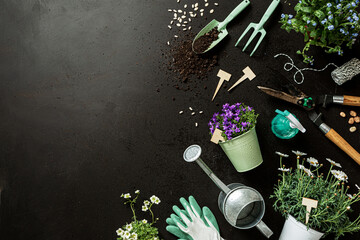 Gardening tools and pot flowers on black background. Gardener’s equipment set. © pinkyone