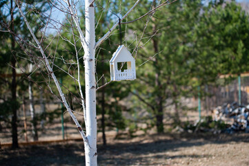 the feeder hangs on a tree, on a warm street on a sunny day