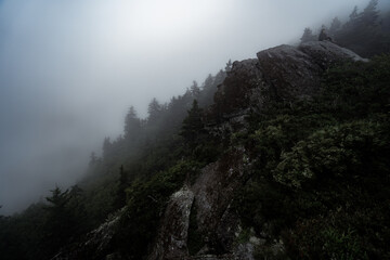 fog in the mountains