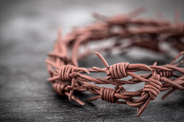 Barbed wire crown of thorns macro shot