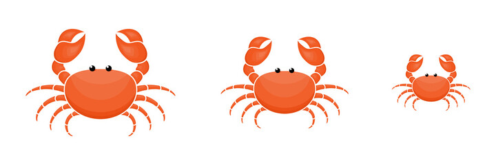 Crab characters three sizes set. Cute crabs family. Seafood collection. Vector illustration isolated on white.