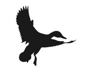 Silhouette of a duck that is flying open its wings