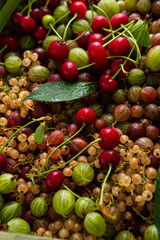 Red cherry on summer berries background