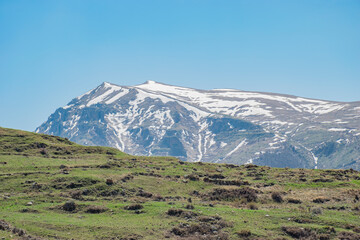 Fototapeta premium mount hood state