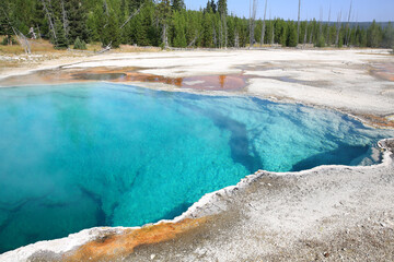 Yellowstone National Park in Wyoming, USA