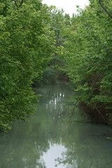 rzeka woda park zieleń rośliny aranjuez