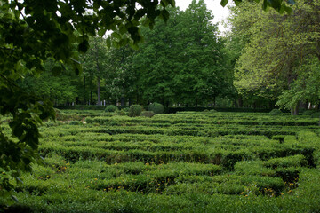 dzrewa natura zieleń wiosna rośliny park © Piotr