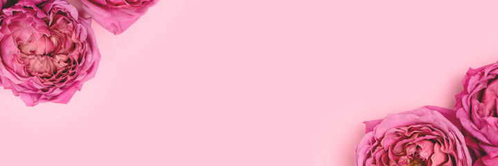 Banner with frame made of rose flowers on a pink pastel background. Springtime concept with copyspace. Floral delicate composition.