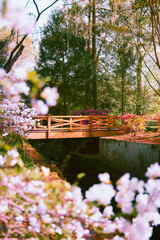 bridge the gap from spring to summer