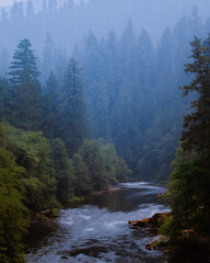 fog in the mountains