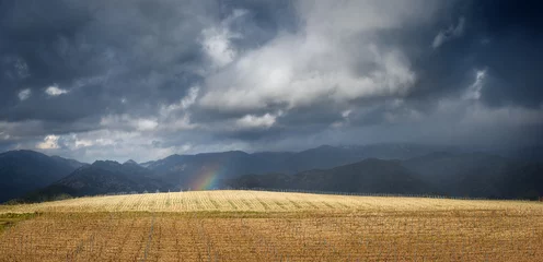 Foto op Canvas End of the rainbow, landscape panorama with dramatic sky. Thunderstorm clouds over leafless vineyard in early spring and tiny piece of rainbow, with distant mountains on background © ChaoticDesignStudio