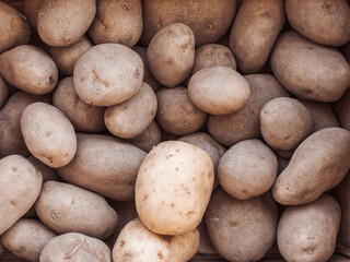 Fototapeta premium Monalisa Potatoes with one Kennebec on the top