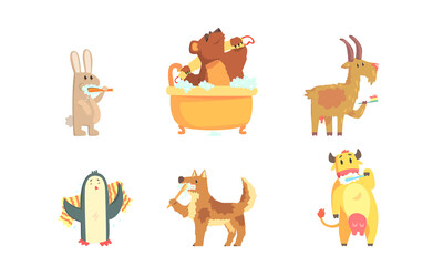 Cute Animals Grooming Bathing and Washing in the Bathroom Vector Set