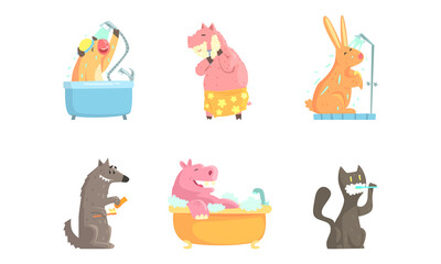 Cute Animals Grooming Bathing and Washing in the Bathroom Vector Set