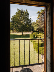 View of the nature from the interior of a window