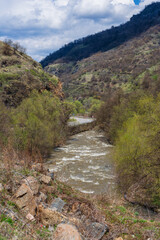Spring landscape with Debed river and trees, Armenia