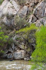 Beautiful landscape with the River Debed, Armenia