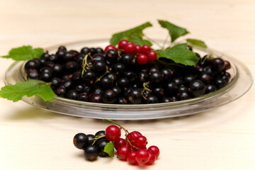sprigs of red and black currants and plate with berries