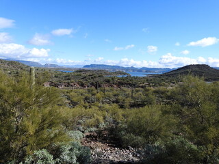 The beautiful scenery of the Sonoran Desert, with Lake Pleasant in the background, Peoria, Maricopa County, Arizona.