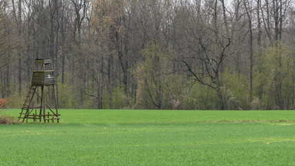 Hunting pulpit standing on green crop field with unlucky number 13.