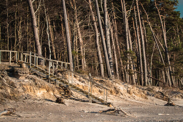 Wooden stairs to the Baltic sea beach in Lithuania.