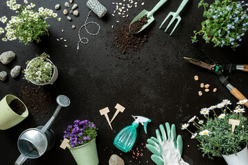 Gardening tools and pot flowers on black background. Gardener’s equipment set. © pinkyone