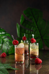 Set of cocktails in shot glasses with cucumber,berry liqueur and raspberries on dark background with reflection and palm leaves.Recipe,bar menu.Close up,selective focus.