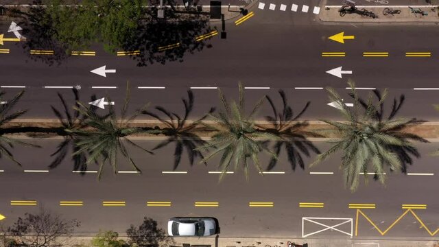 Empty road with Palm trees aerial top down view, Tel Aviv
drone view over empty street in Coronavirus Lockdown, Israel 2020
